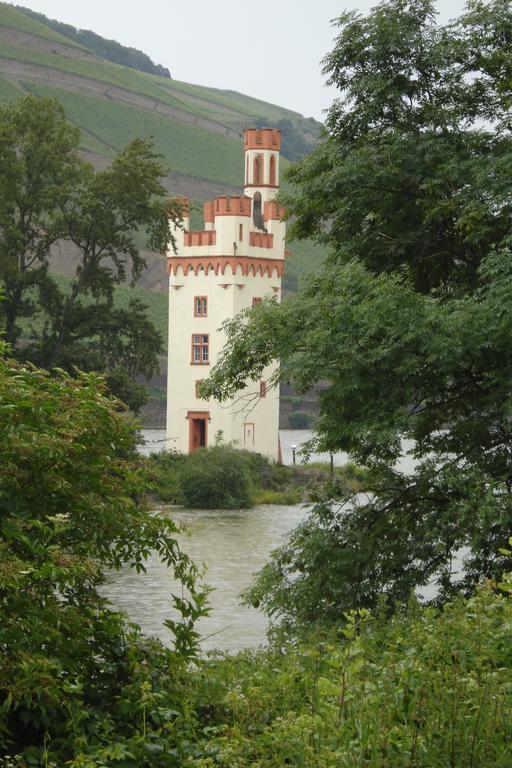 Hotel Gasthof Schuster Und Gaestehaus Ruedesheim am Rhein Exterior photo